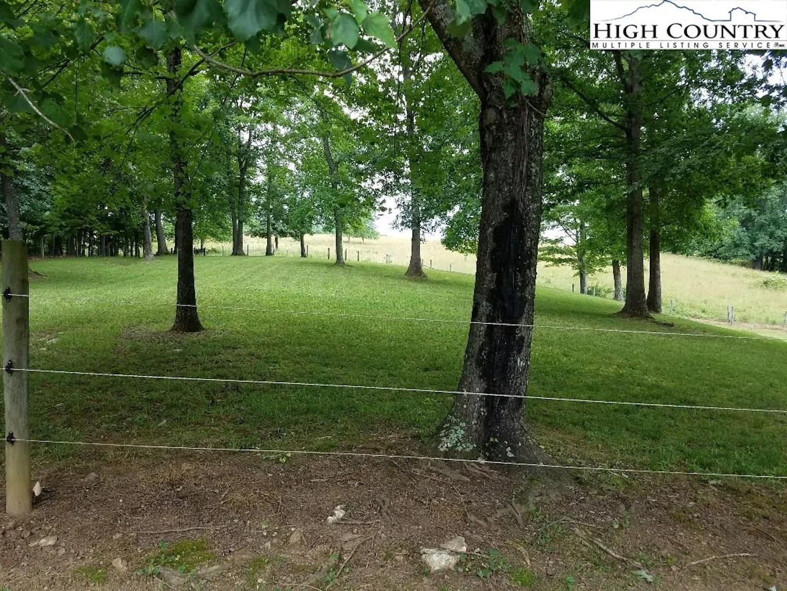Image number 6 for the current listing