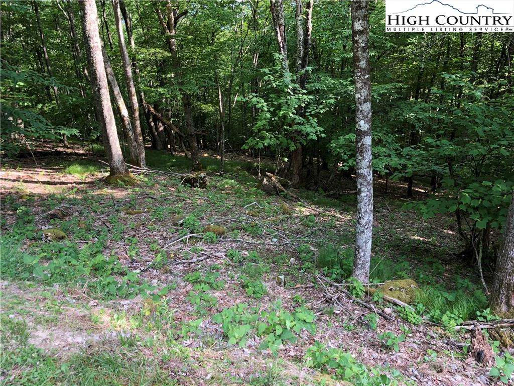 Image number 1 for the current listing