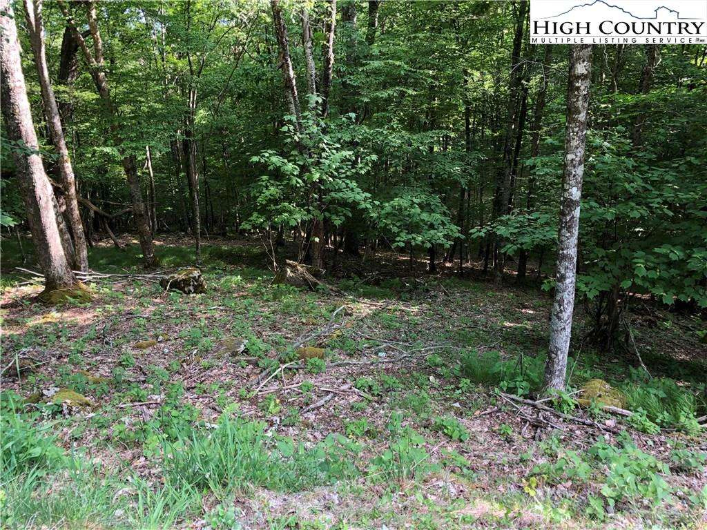 Image number 3 for the current listing