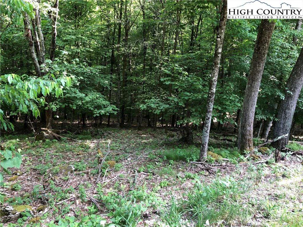 Image number 4 for the current listing