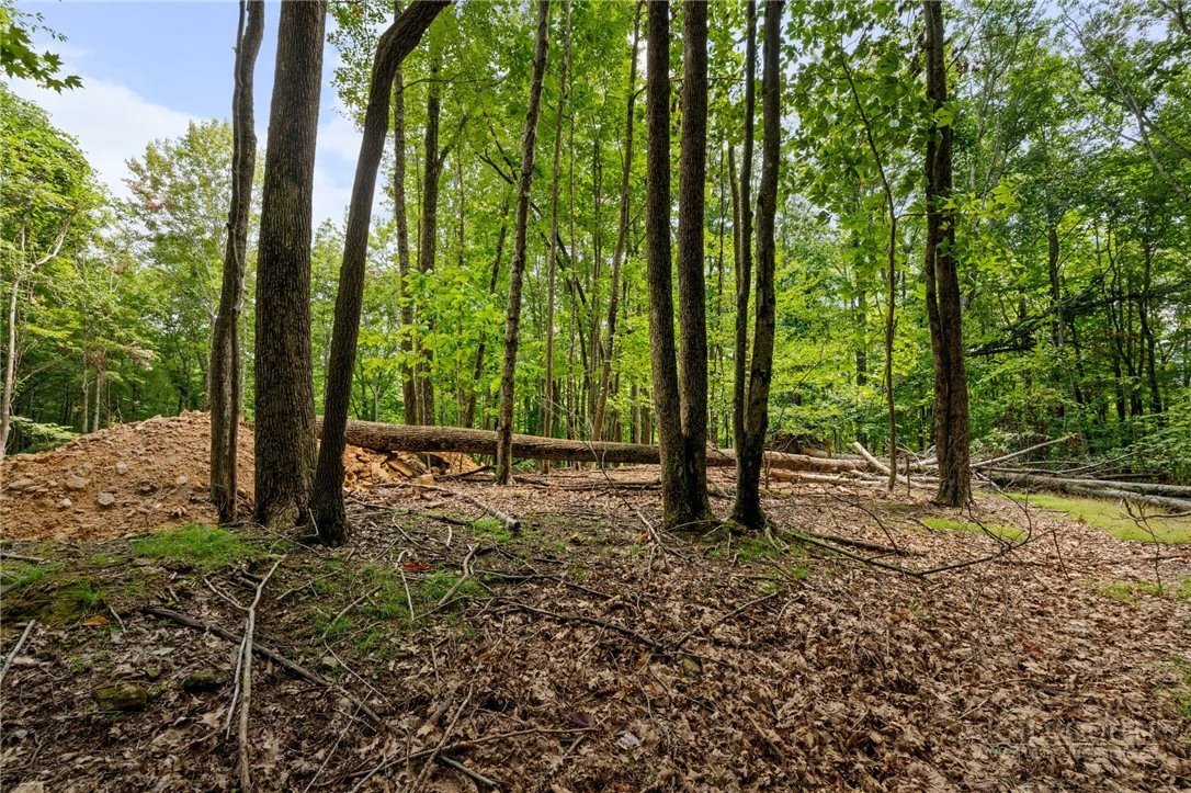 Image number 2 for the current listing