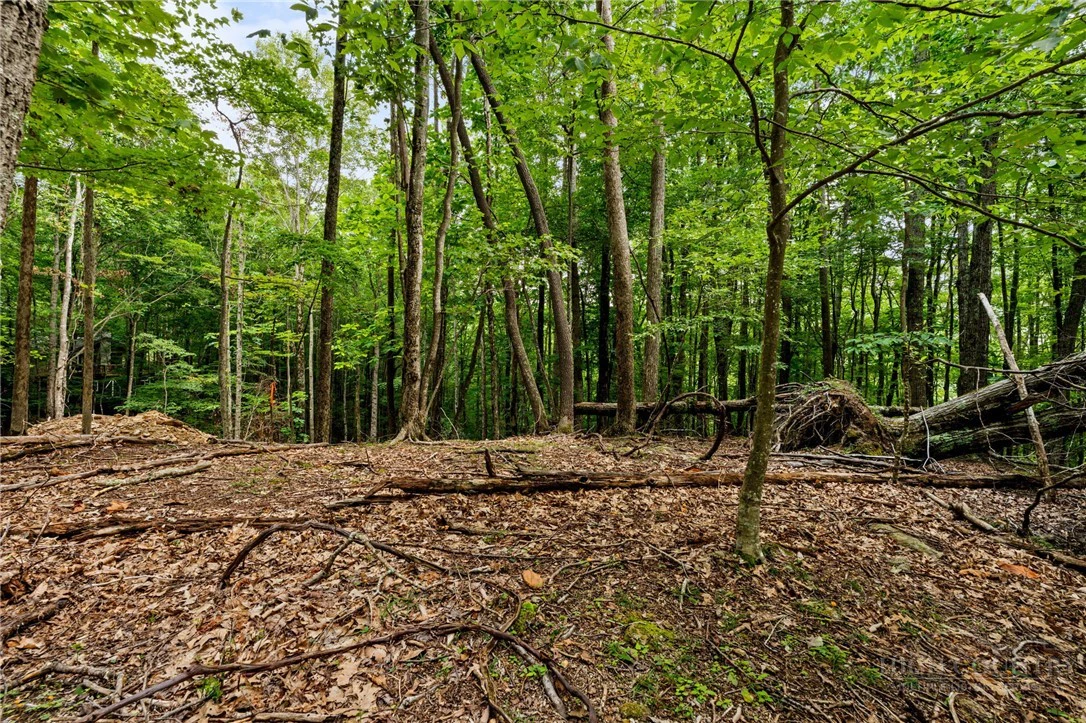 Image number 4 for the current listing