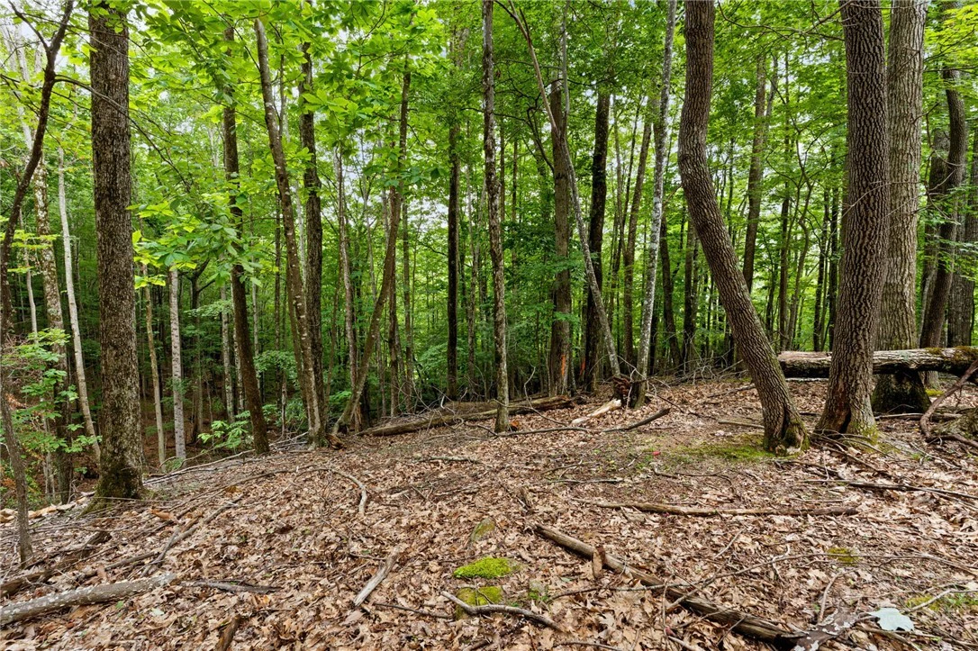 Image number 1 for the current listing