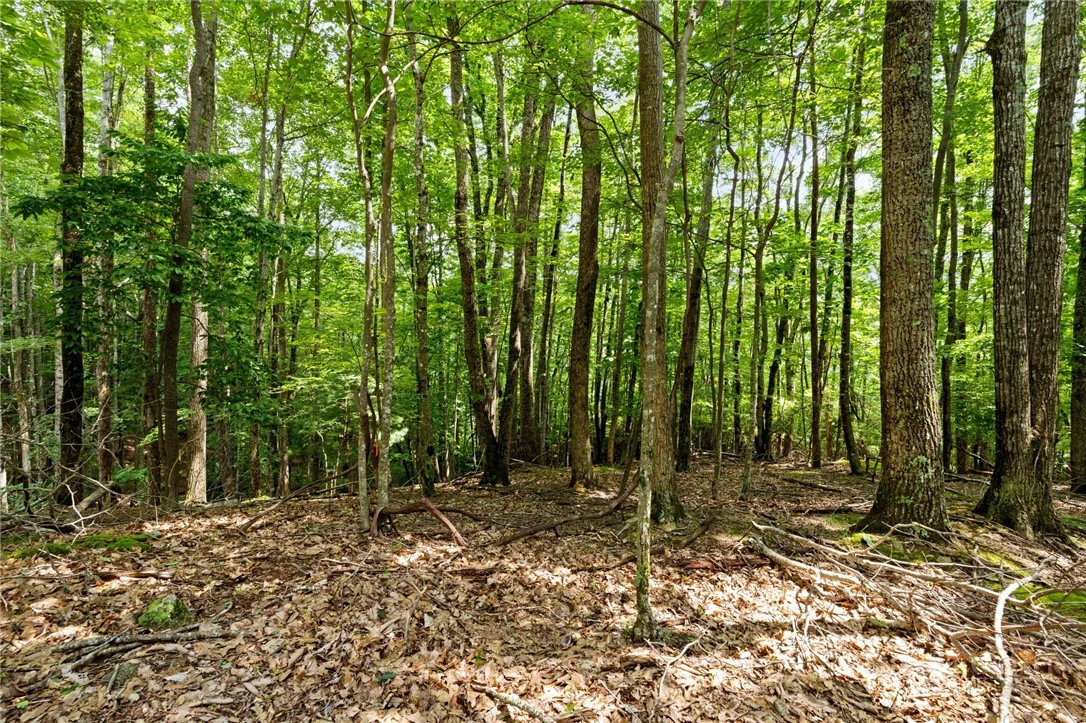 Image number 9 for the current listing