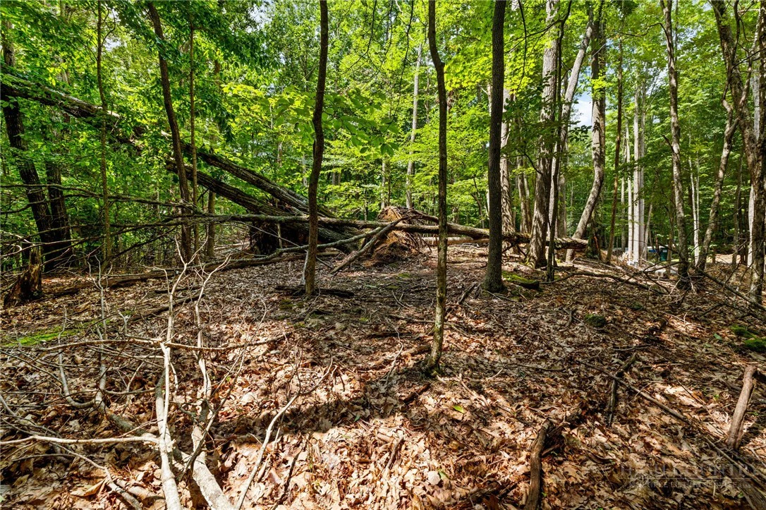 Image number 11 for the current listing