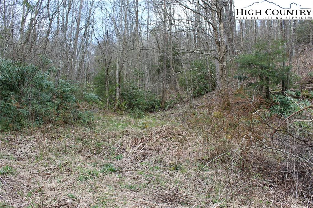 Image number 1 for the current listing