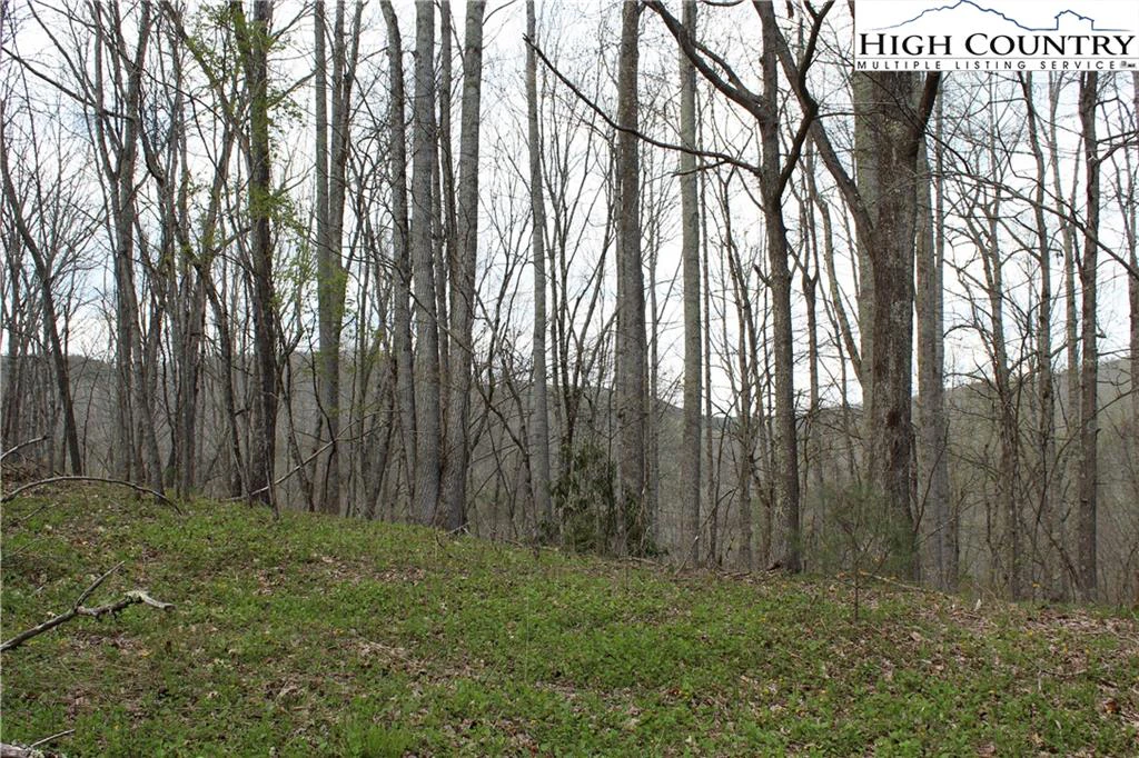 Image number 15 for the current listing
