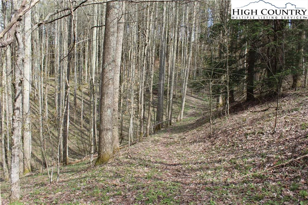 Image number 2 for the current listing