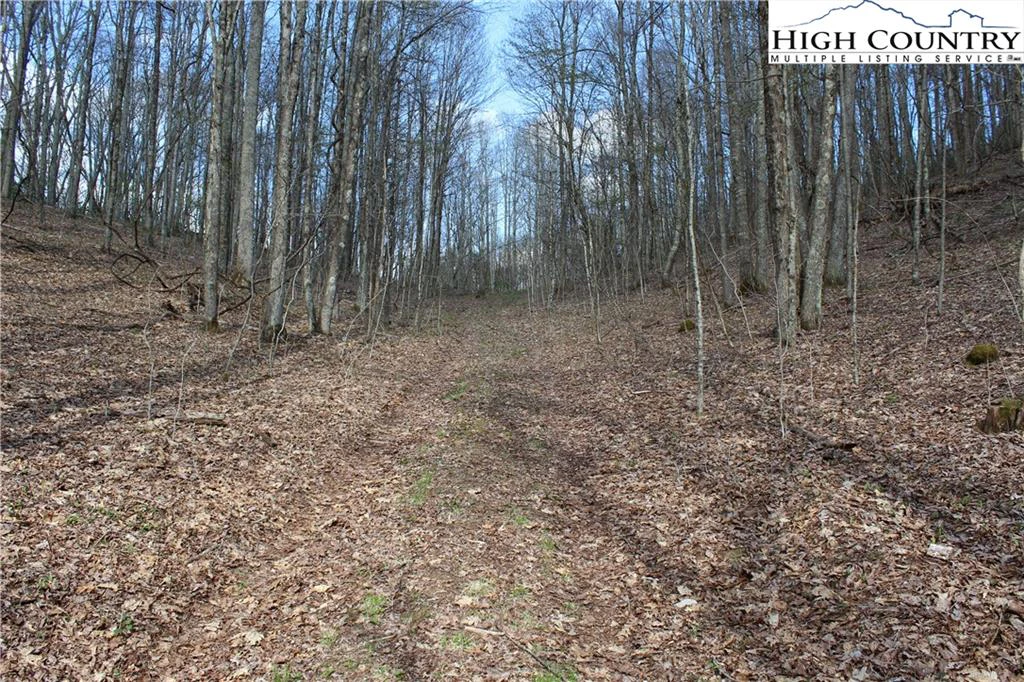 Image number 14 for the current listing