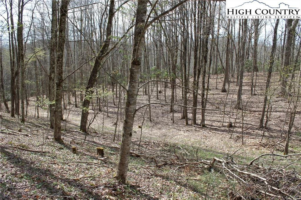 Image number 13 for the current listing