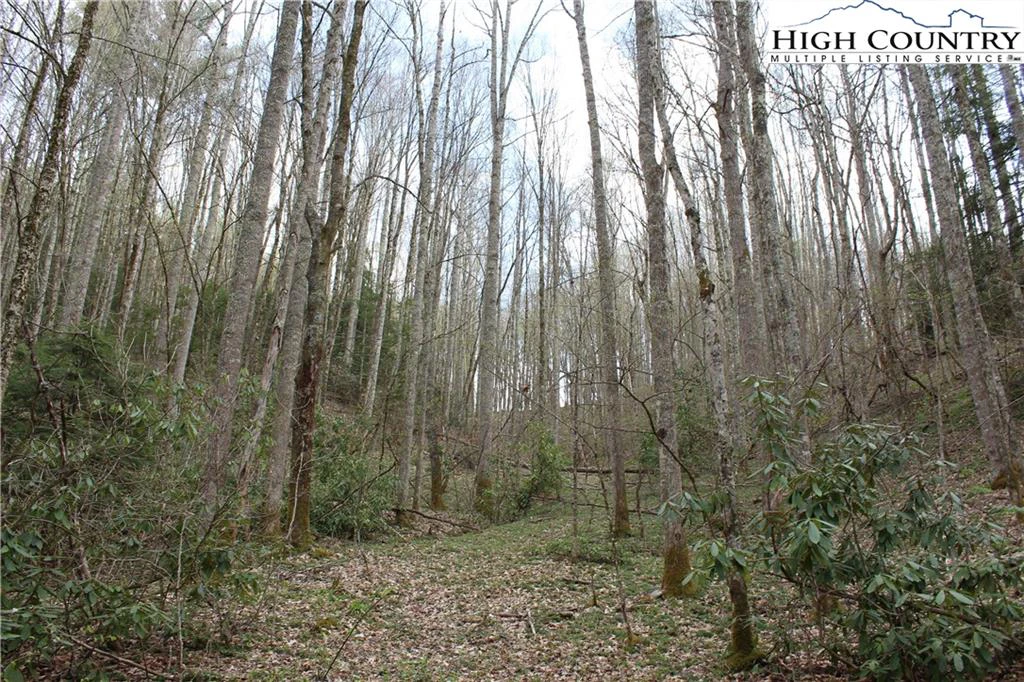 Image number 8 for the current listing