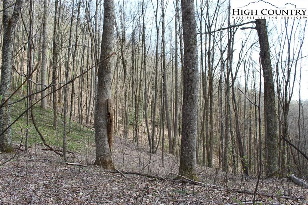 Image number 7 for the current listing