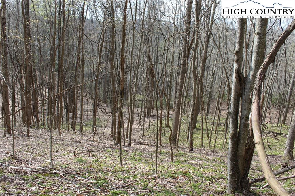 Image number 5 for the current listing