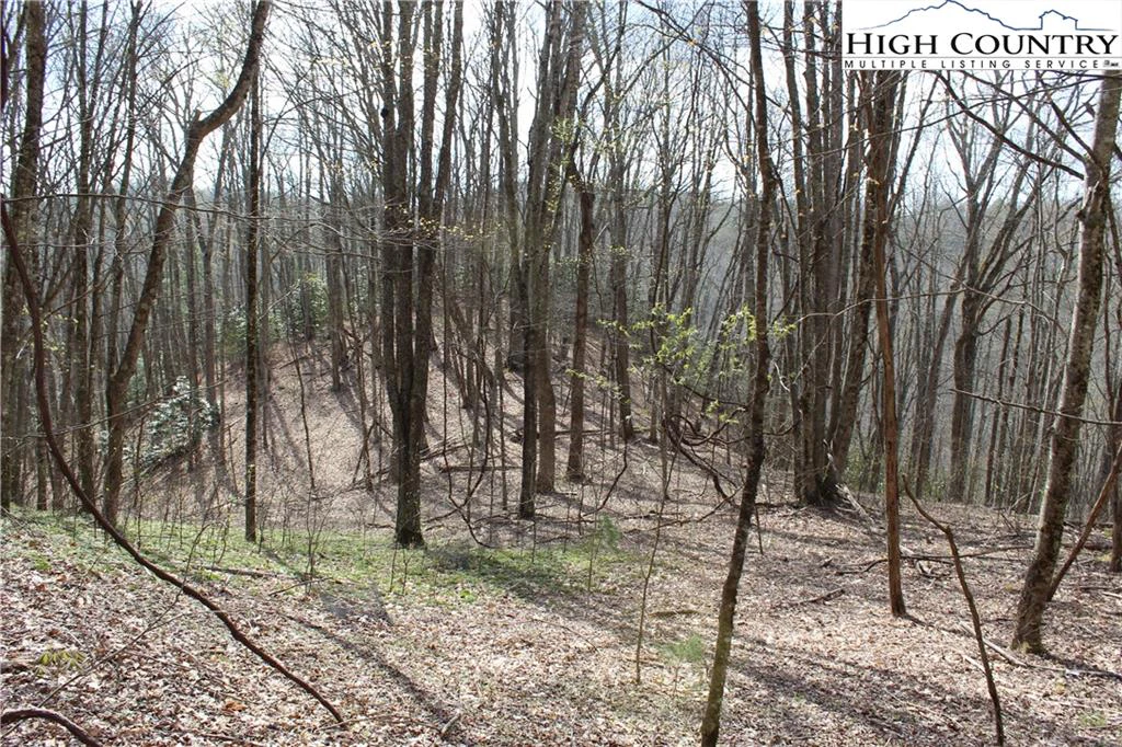 Image number 4 for the current listing