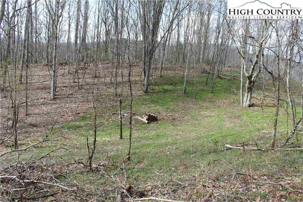 Image number 21 for the current listing