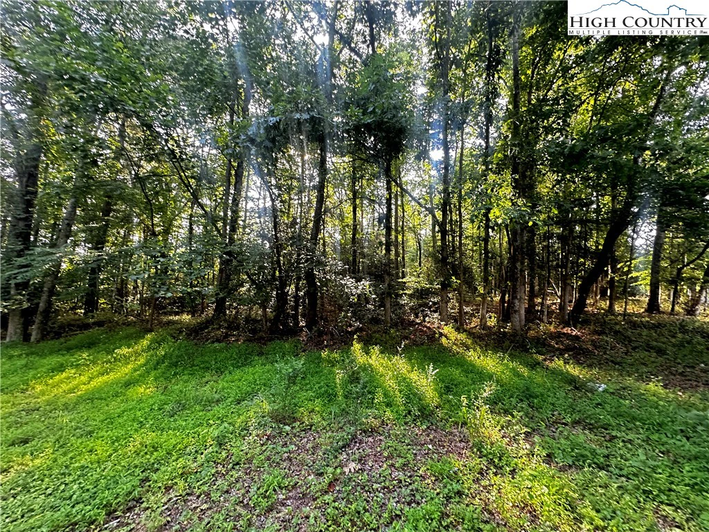 Image number 6 for the current listing