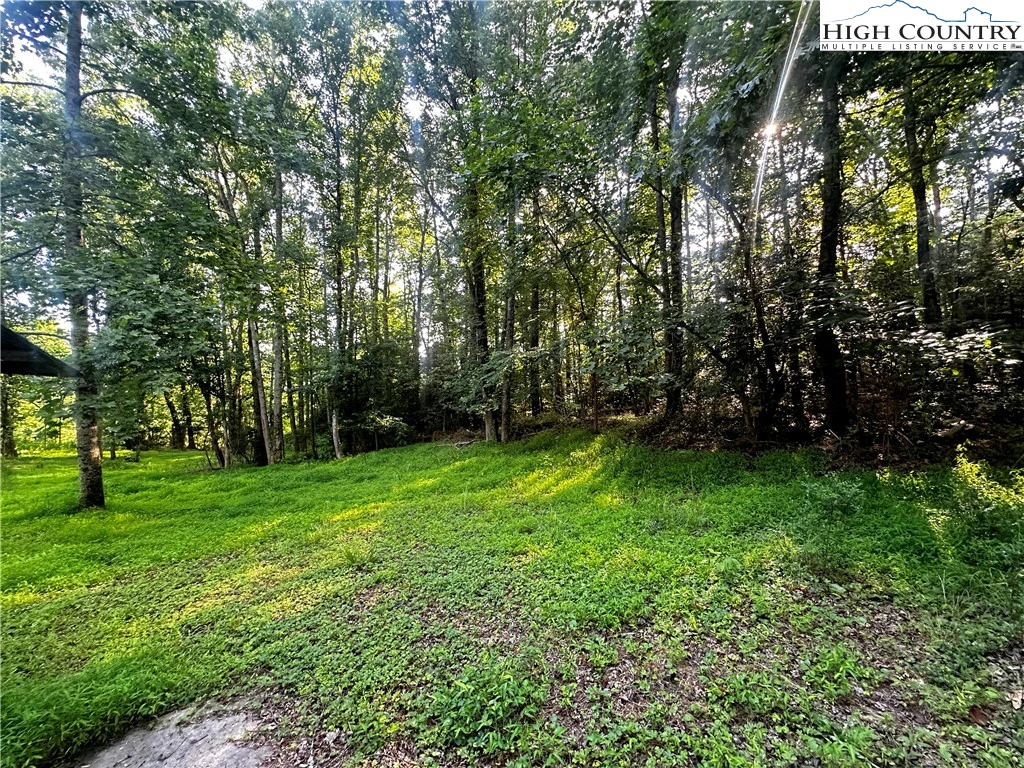 Image number 7 for the current listing