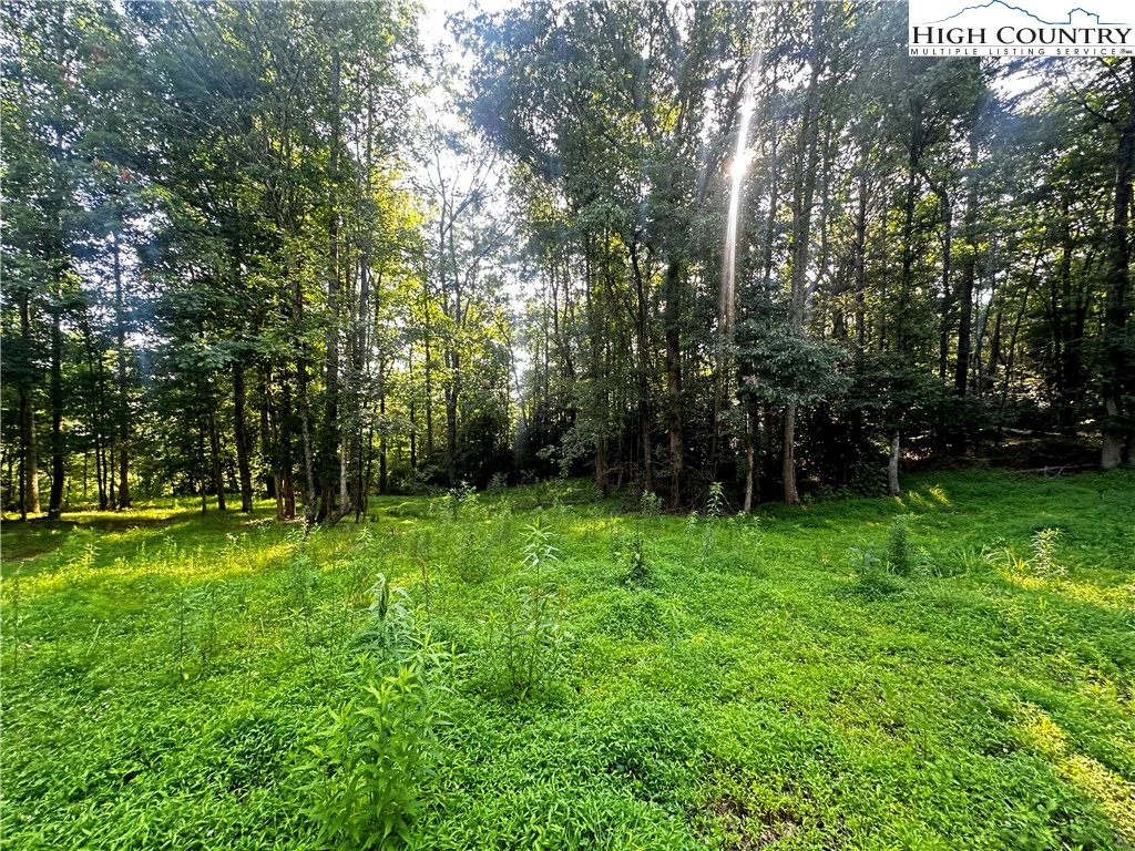 Image number 11 for the current listing