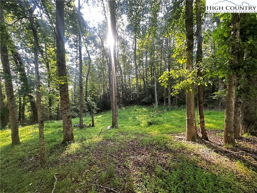 Image number 13 for the current listing