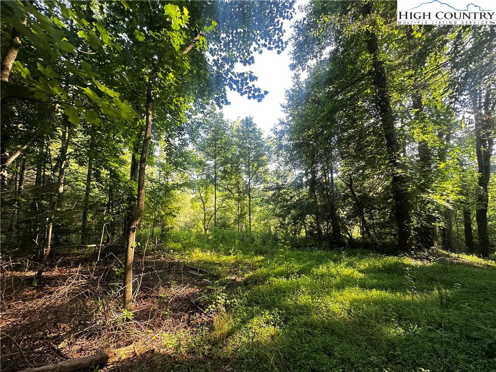 Image number 15 for the current listing