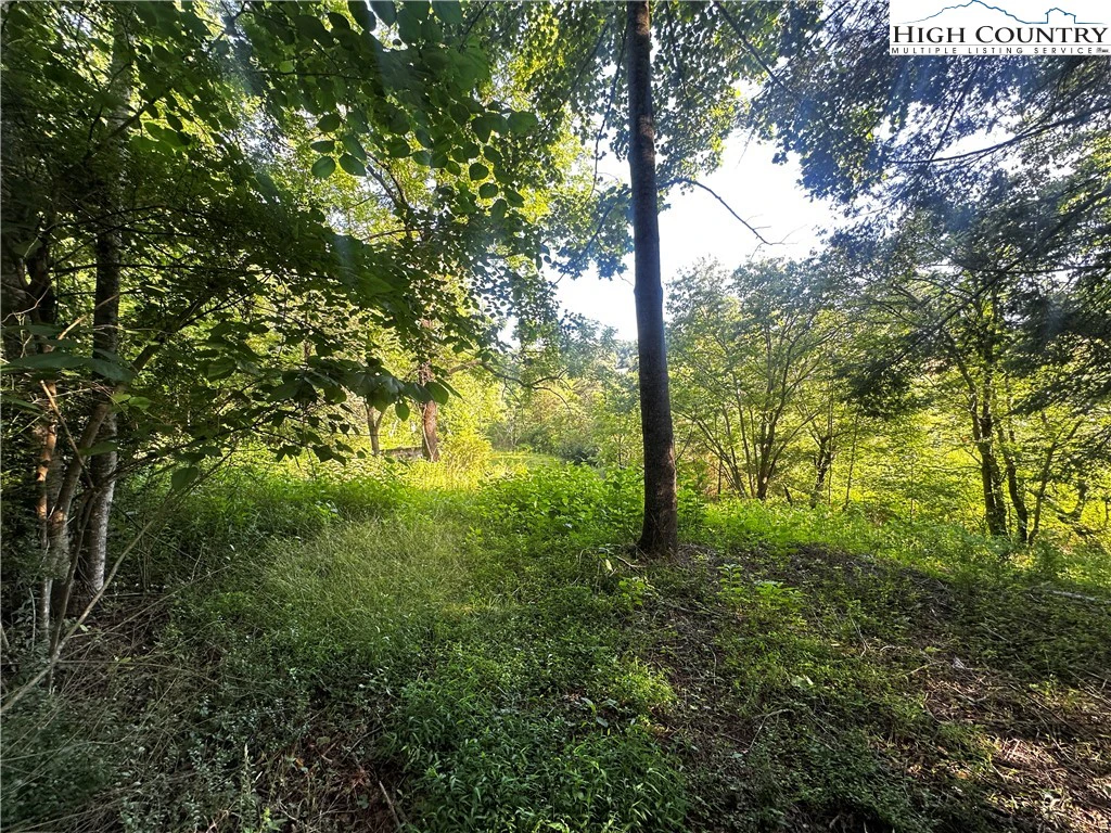 Image number 17 for the current listing