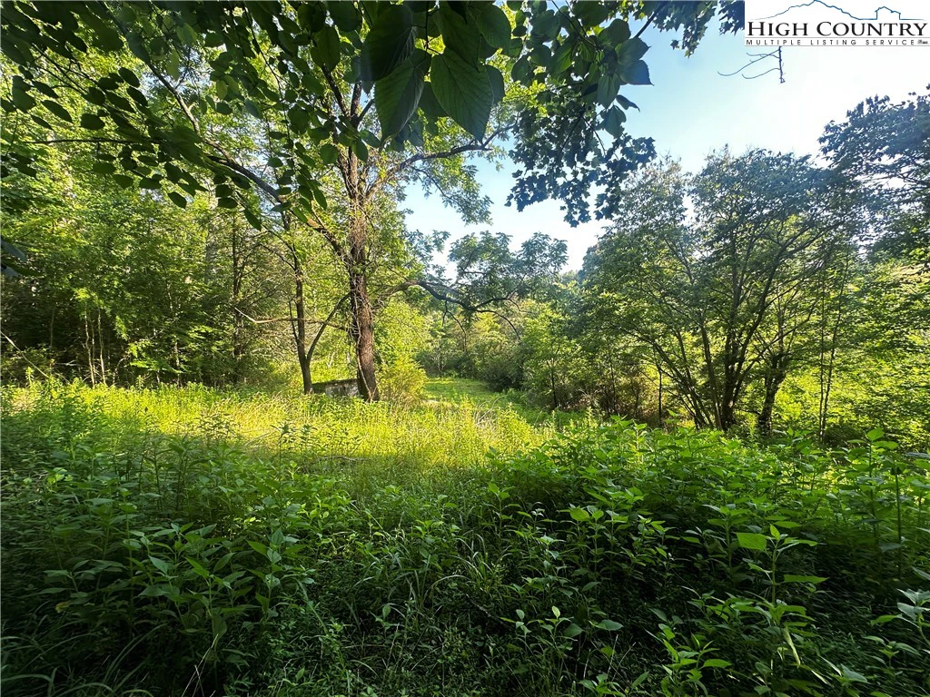 Image number 18 for the current listing