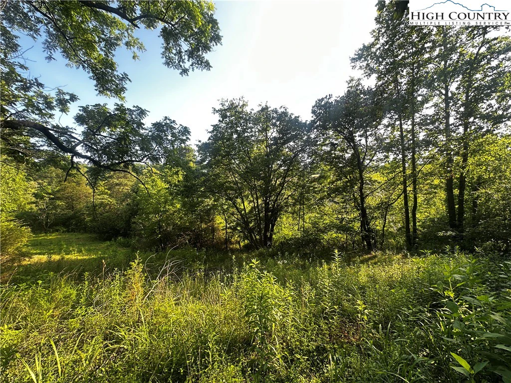 Image number 19 for the current listing