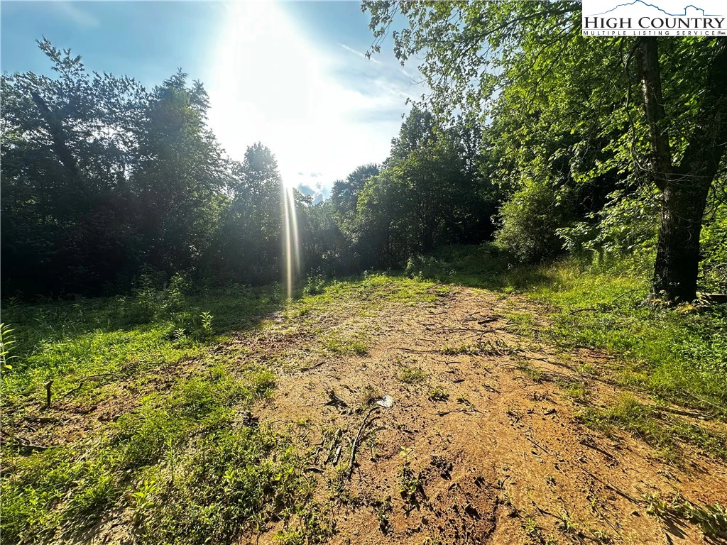 Image number 21 for the current listing