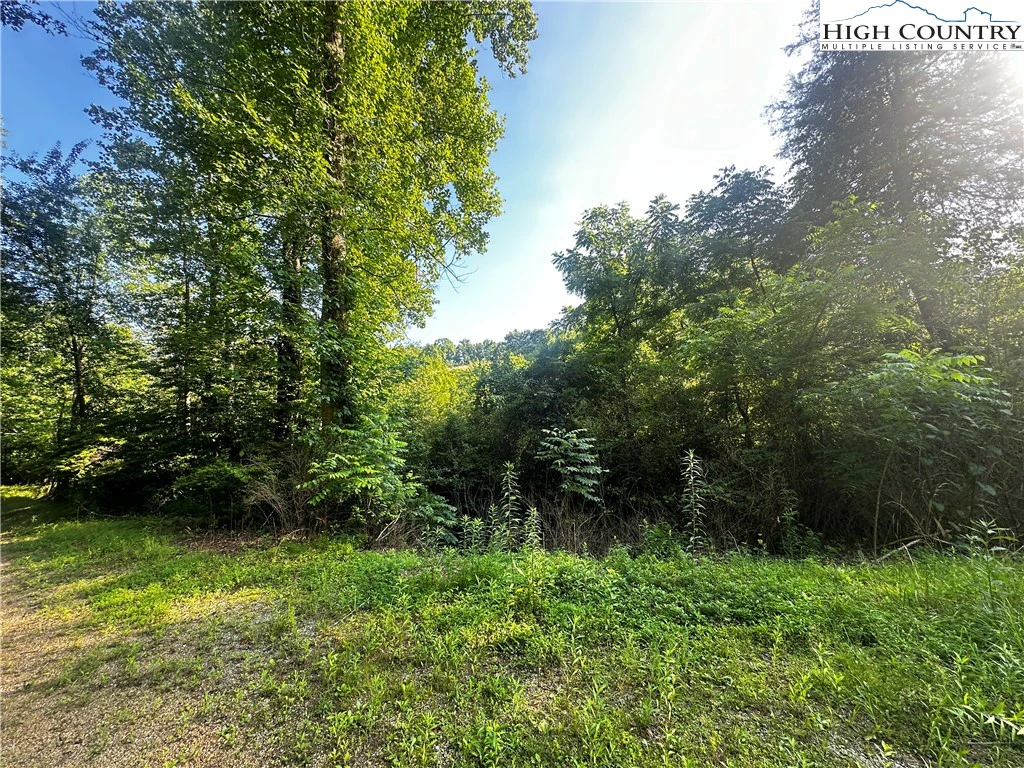 Image number 22 for the current listing