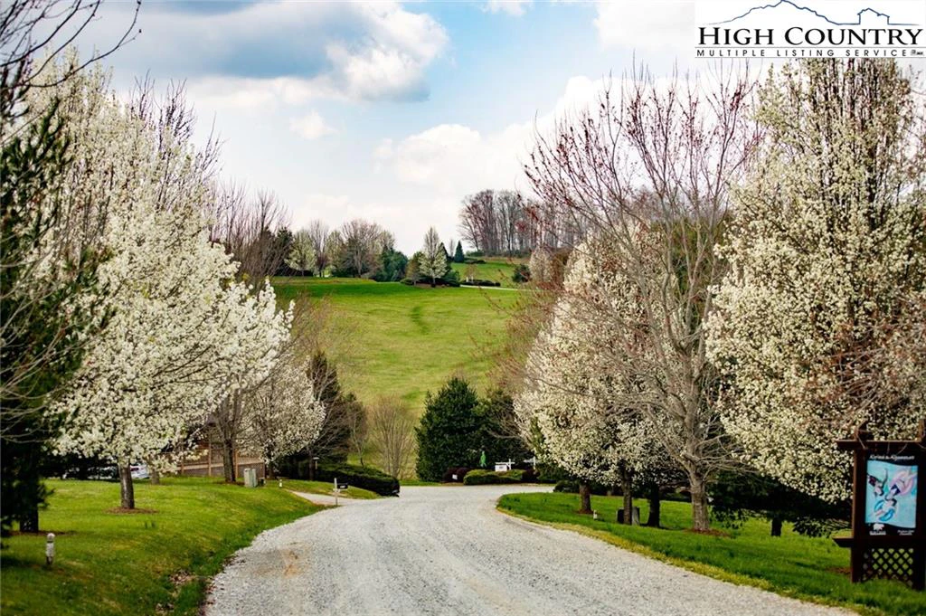 Image number 14 for the current listing