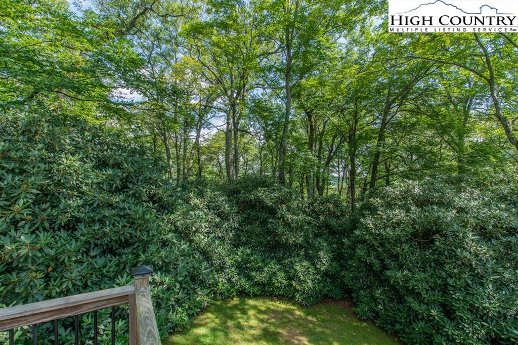 Image number 2 for the current listing