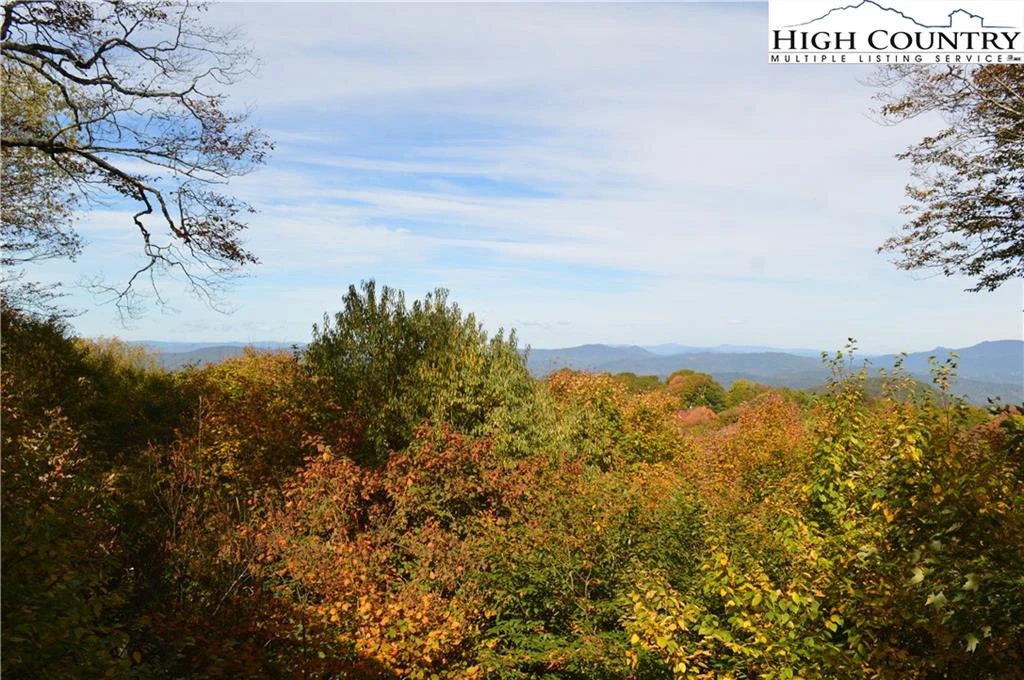 Image number 19 for the current listing
