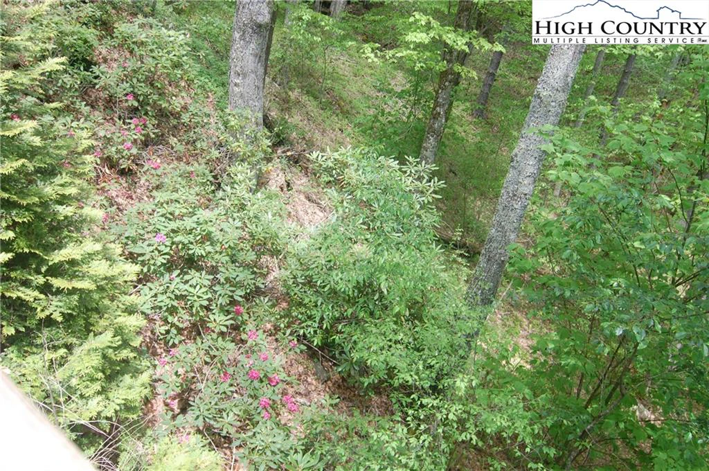 Image number 14 for the current listing