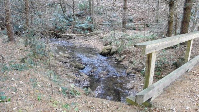 Image number 15 for the current listing