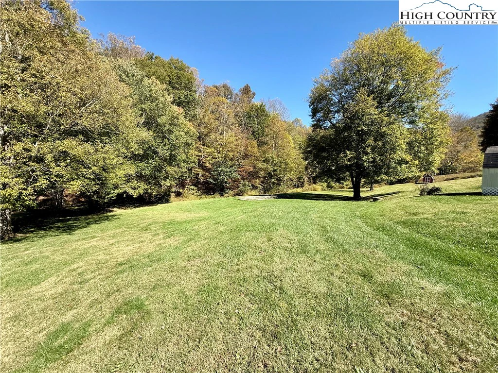 Image number 4 for the current listing