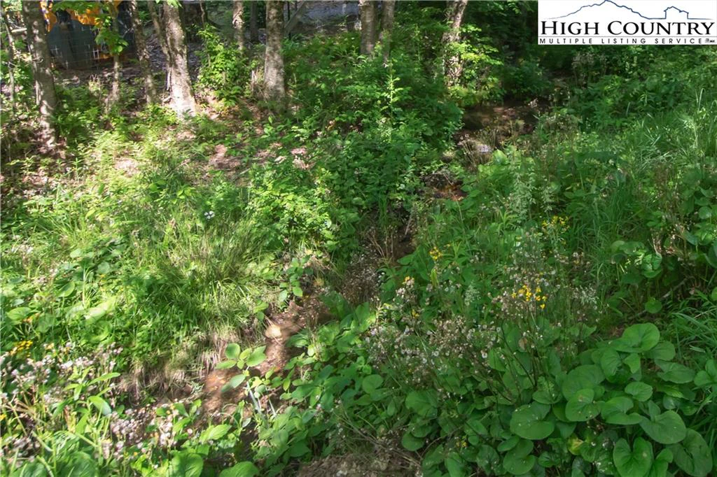 Image number 20 for the current listing