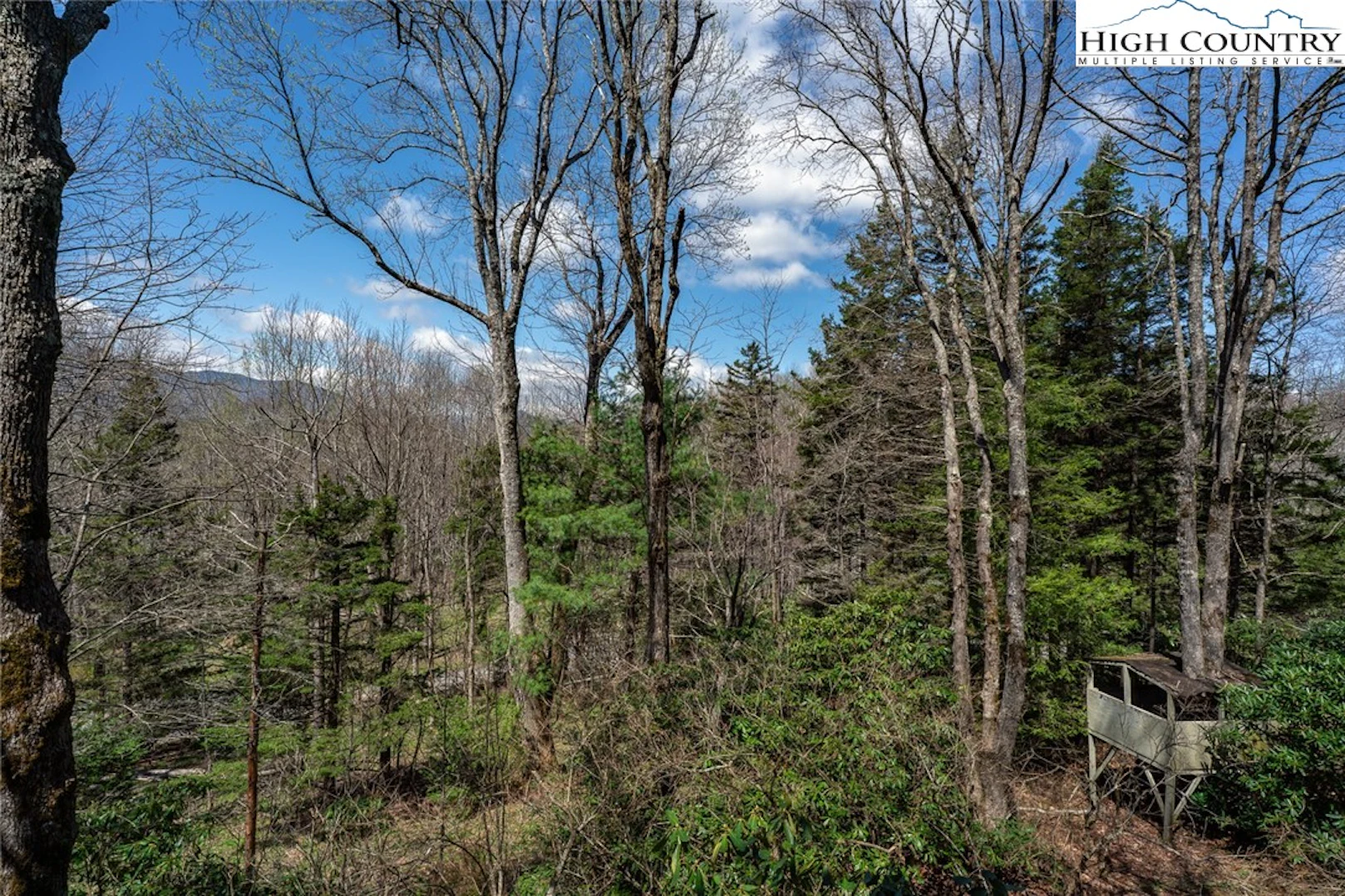 Image number 12 for the current listing