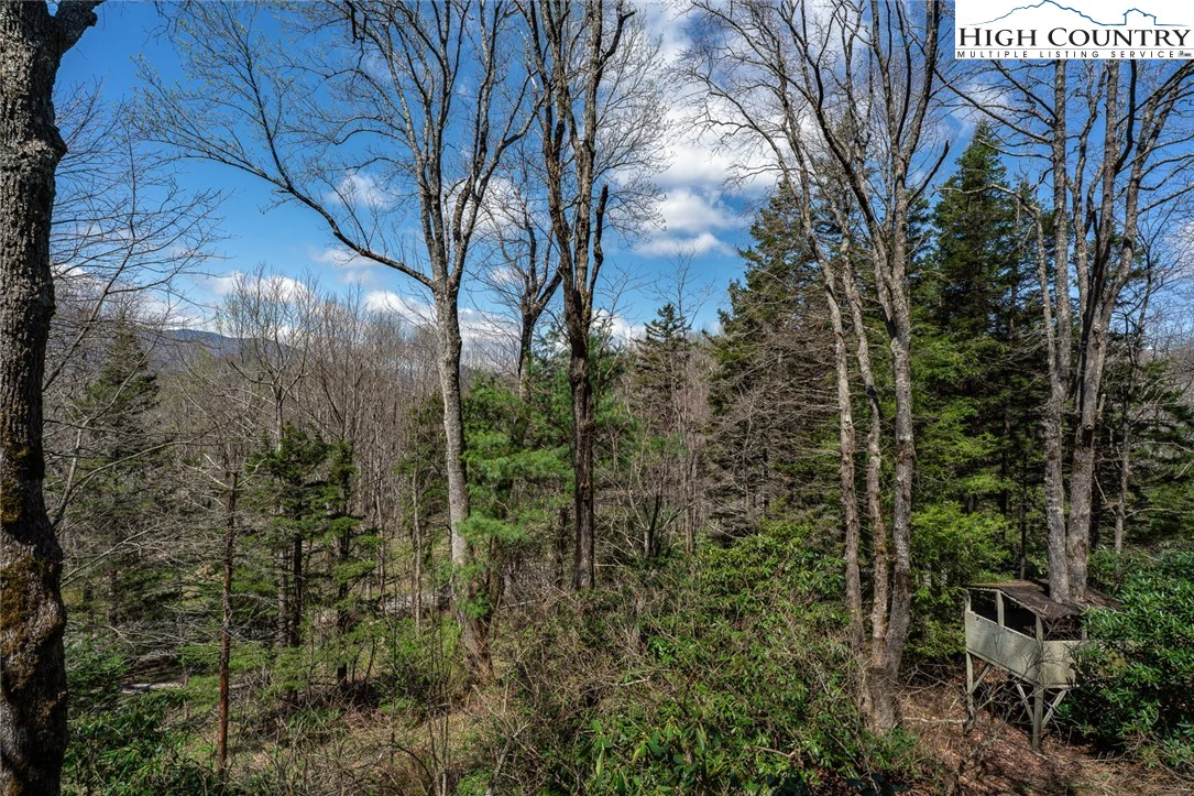 Image number 12 for the current listing