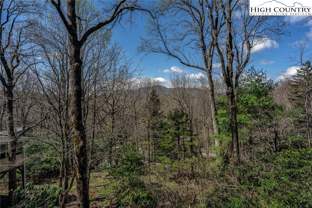 Image number 2 for the current listing