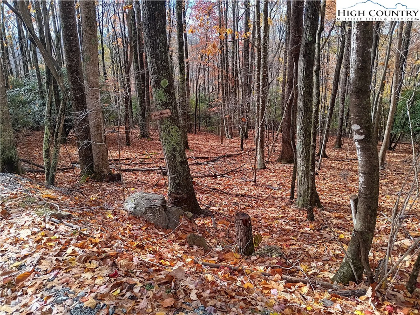 Image number 1 for the current listing