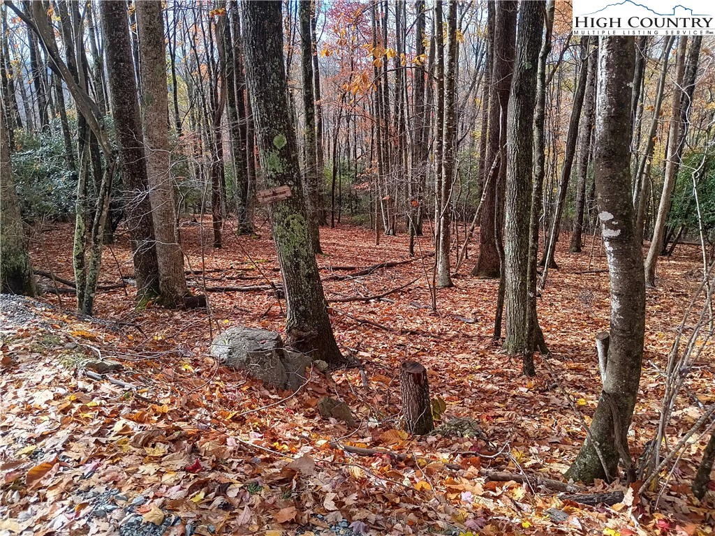 Image number 1 for the current listing