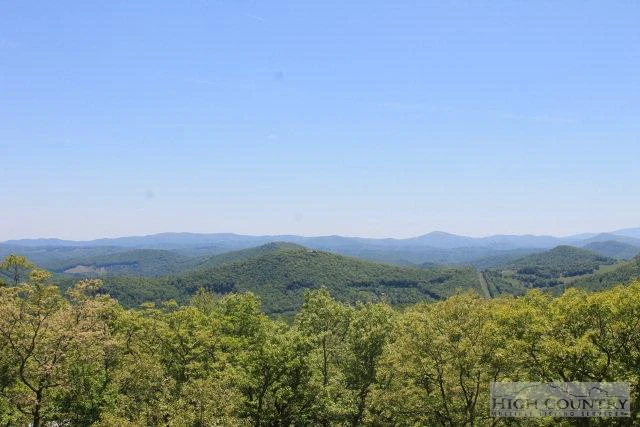 Image number 11 for the current listing
