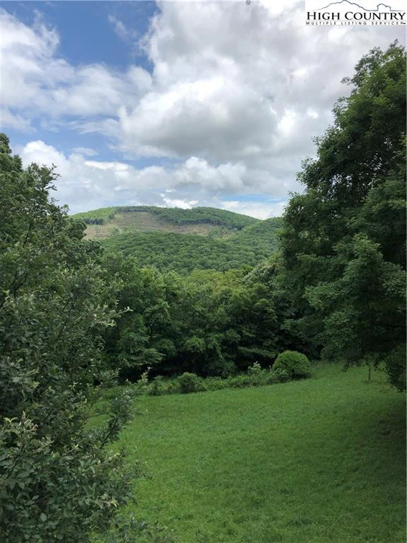 Image number 12 for the current listing