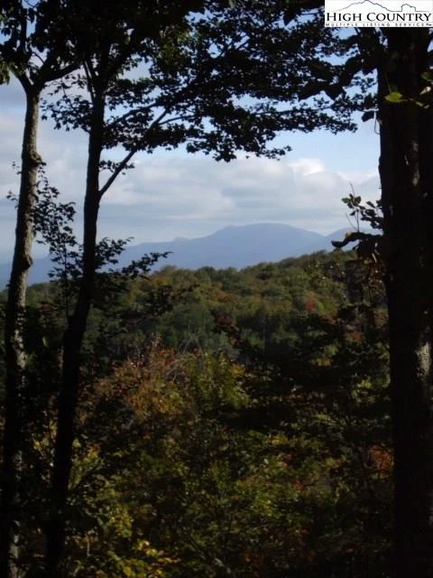 Image number 20 for the current listing