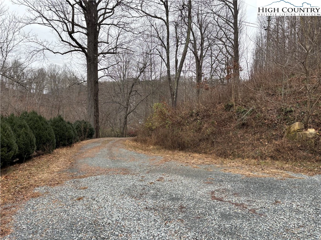 Image number 14 for the current listing