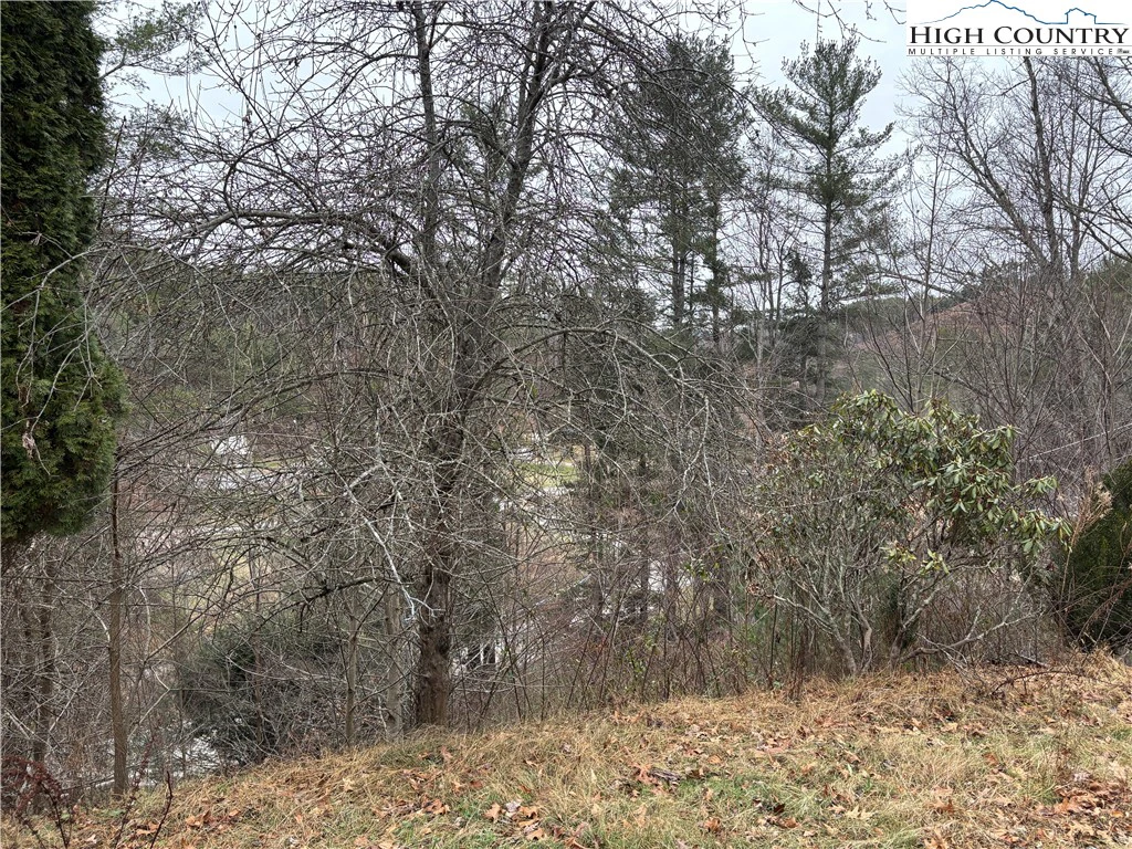 Image number 17 for the current listing