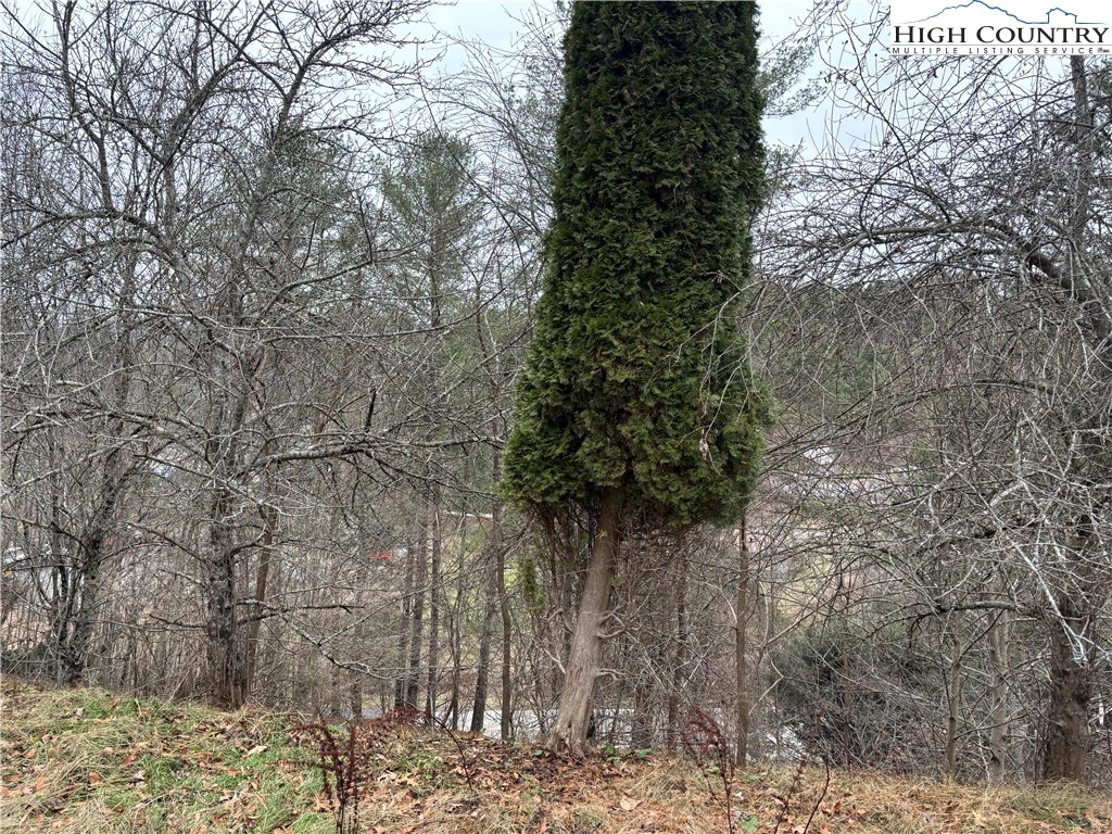 Image number 18 for the current listing