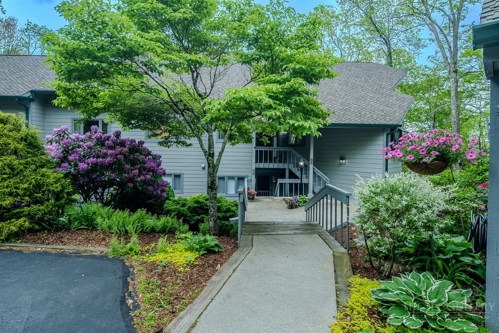 Image number 2 for the current listing