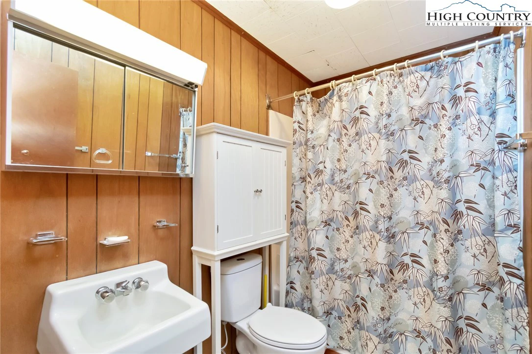 Image number 3 for the current listing