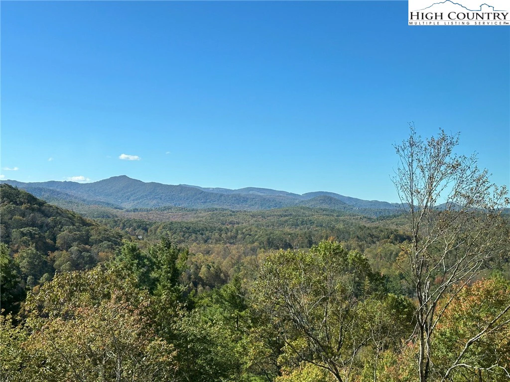 Image number 16 for the current listing